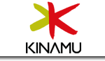 KINAMU Business Solutions AG